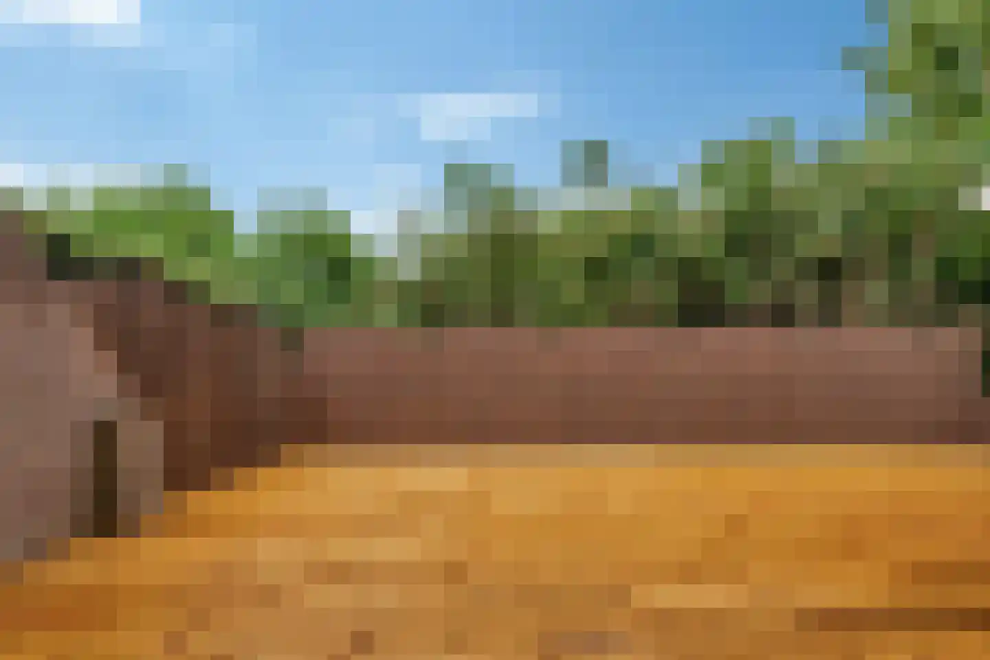 Oosteindseweg 98 Bergschenhoek thumbnail 14