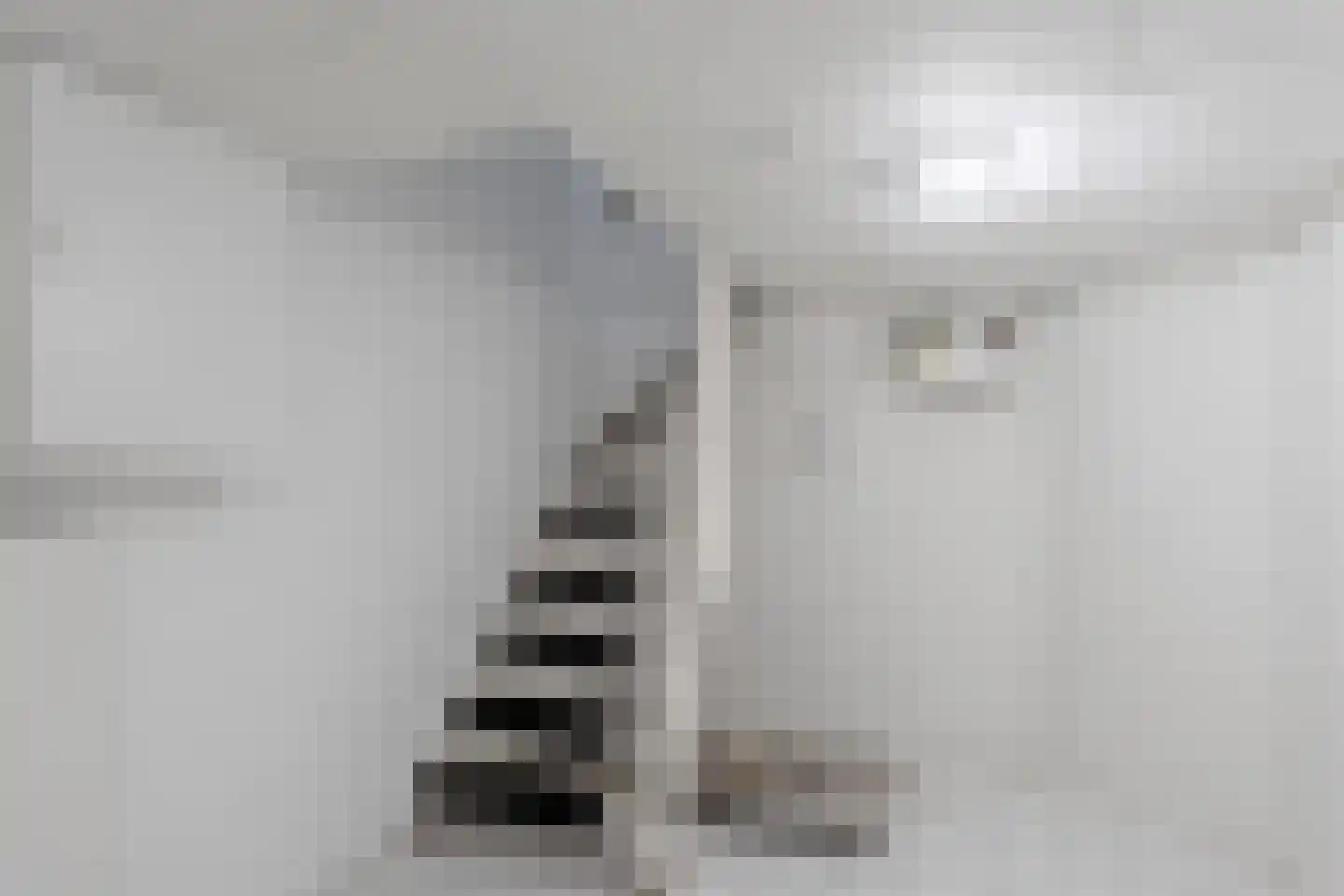 Oosteindseweg 98 Bergschenhoek thumbnail 33