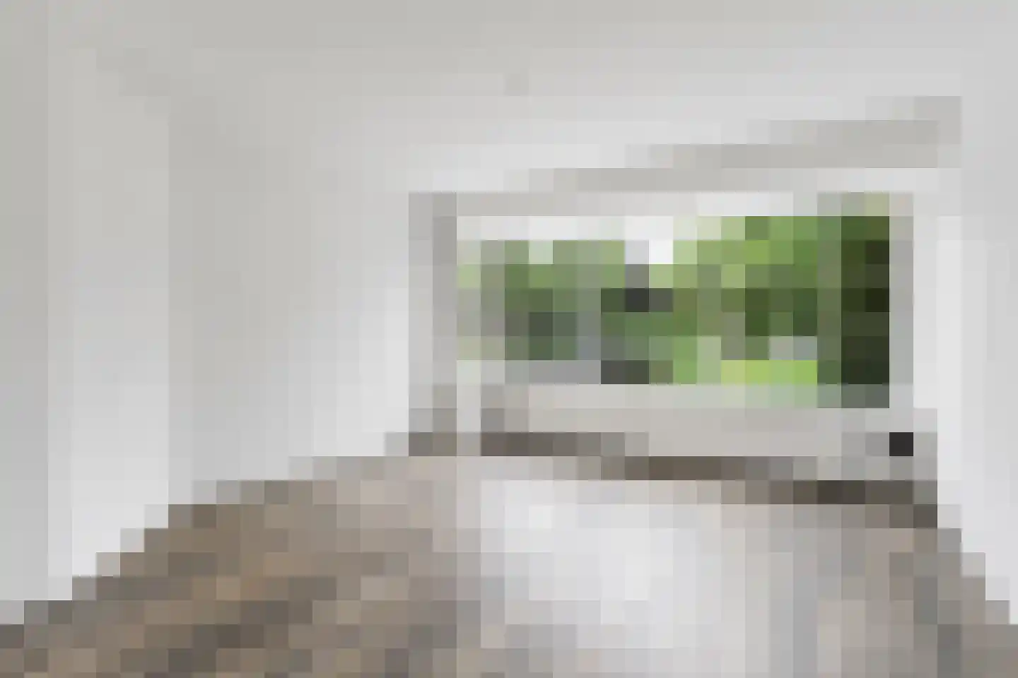 Oosteindseweg 98 Bergschenhoek thumbnail 9