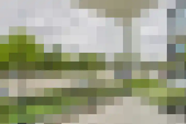Oostelijk Bolwerk 13 a Terneuzen thumbnail 10