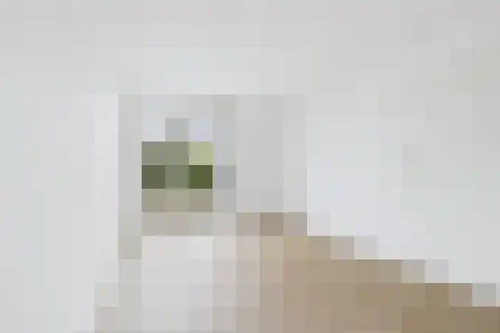Oostelijk Bolwerk 13 a Terneuzen thumbnail 13