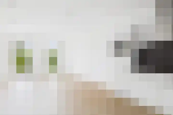 Oostelijk Bolwerk 13 a Terneuzen thumbnail 5