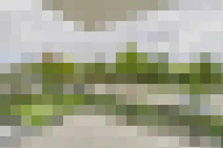 Oostelijk Bolwerk 13 a Terneuzen thumbnail 9