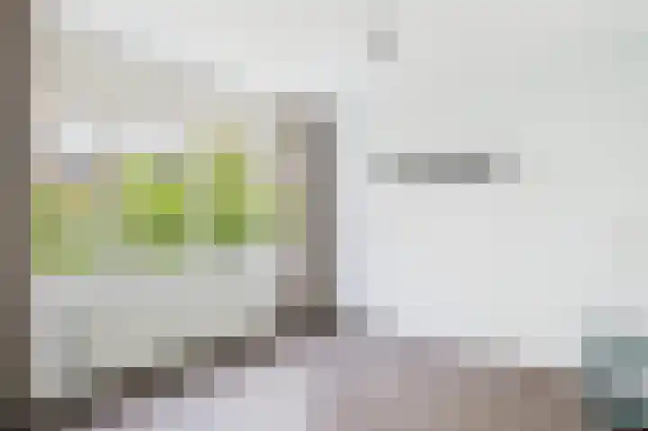 Oostelijk Bolwerk 33 Terneuzen thumbnail 18