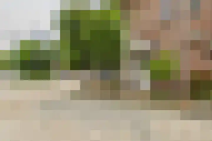 Oostelijk Bolwerk 33 Terneuzen thumbnail 34