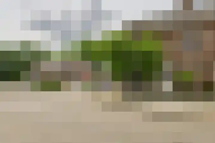 Oostelijk Bolwerk 33 Terneuzen thumbnail 35