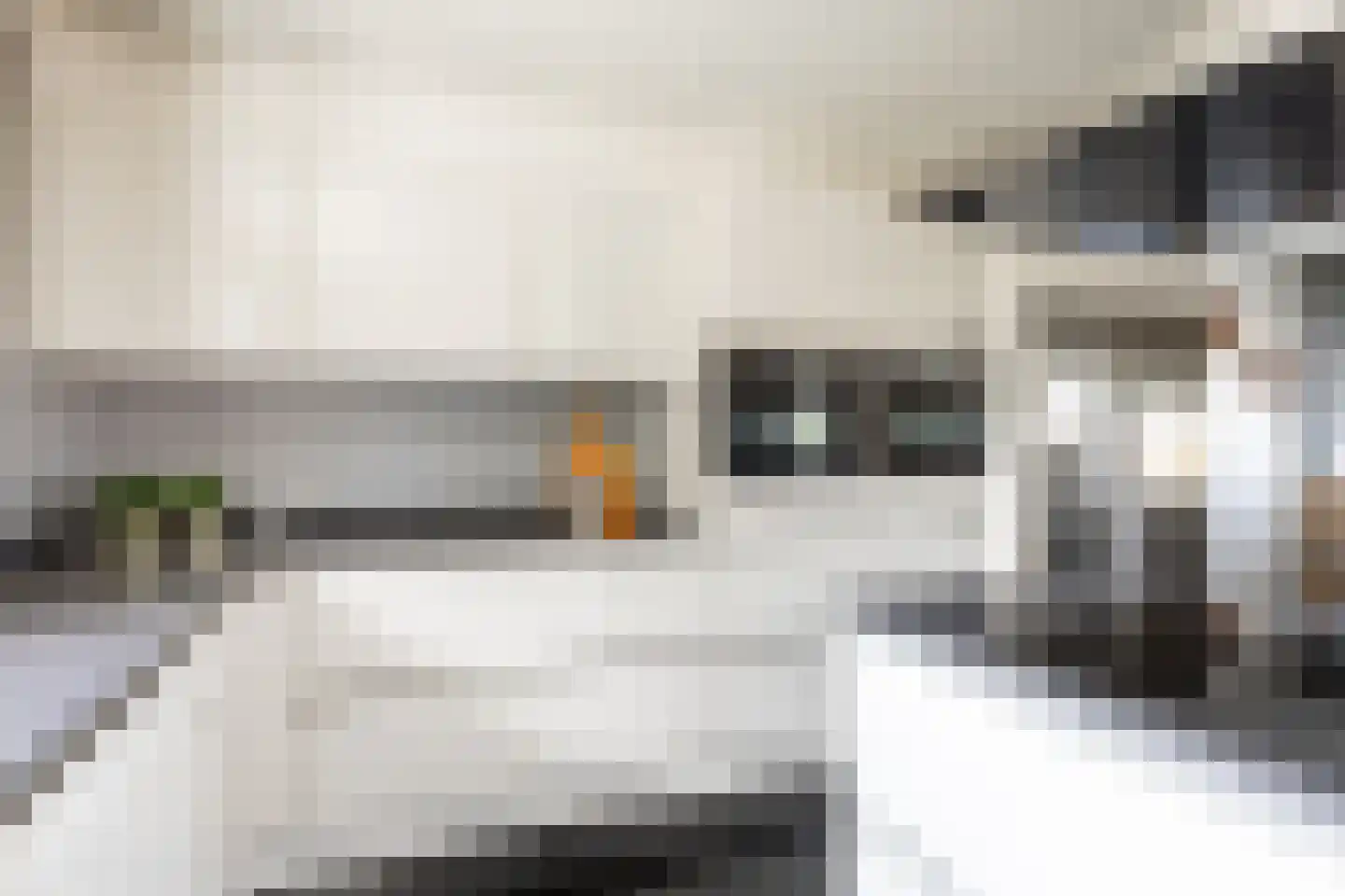 Oostelijk Bolwerk 6 Terneuzen thumbnail 22