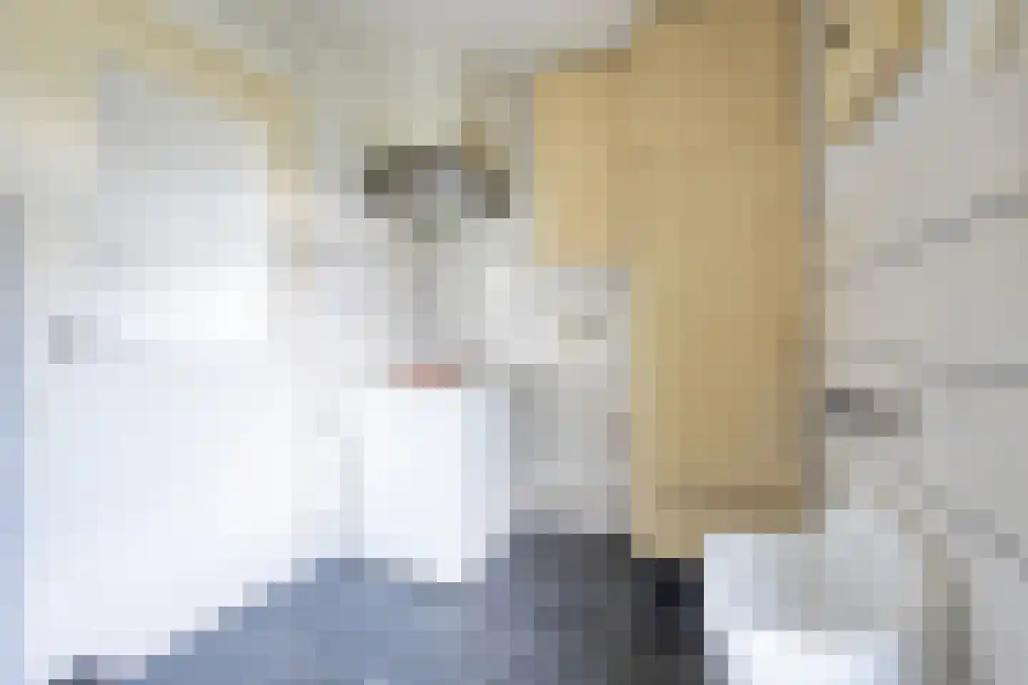 Oostelijk Bolwerk 6 Terneuzen thumbnail 23