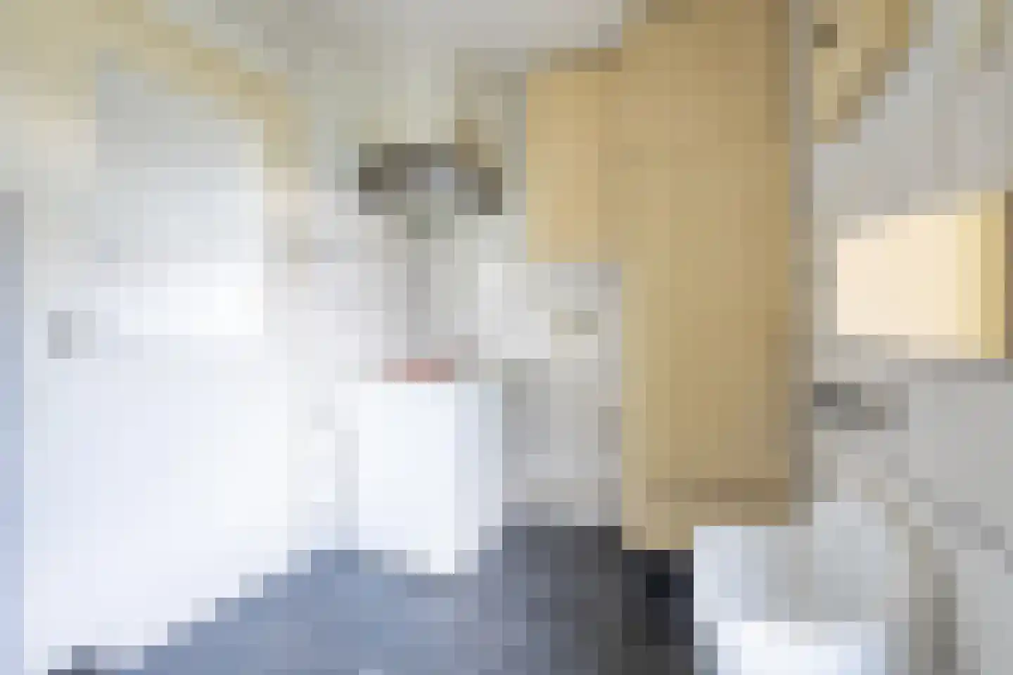 Oostelijk Bolwerk 6 Terneuzen thumbnail 24
