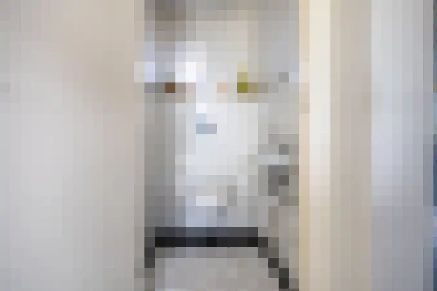 Oostelijk Bolwerk 6 Terneuzen thumbnail 25