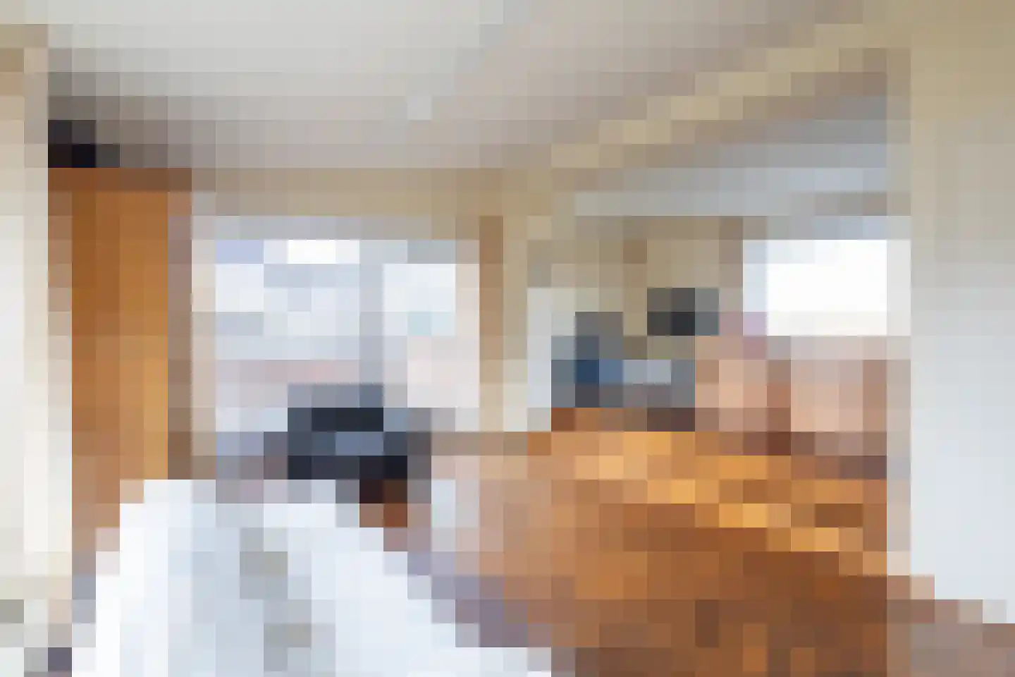 Oostelijk Bolwerk 6 Terneuzen thumbnail 9