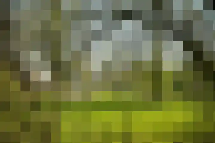 Oostelijk Halfrond 101 Amstelveen thumbnail 20