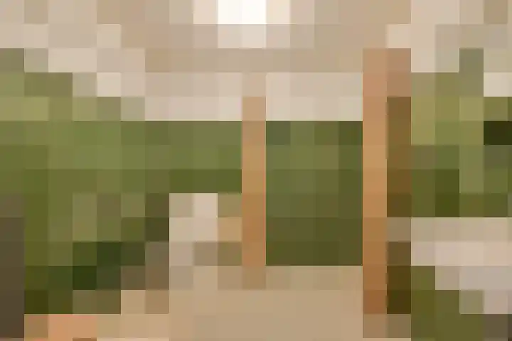 Oostelijk Halfrond 110 Amstelveen thumbnail 27