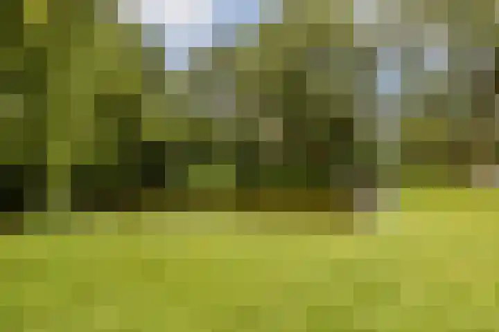 Oostelijk Halfrond 110 Amstelveen thumbnail 31