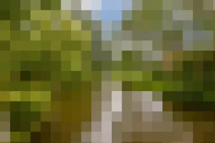 Oostelijk Halfrond 110 Amstelveen thumbnail 32
