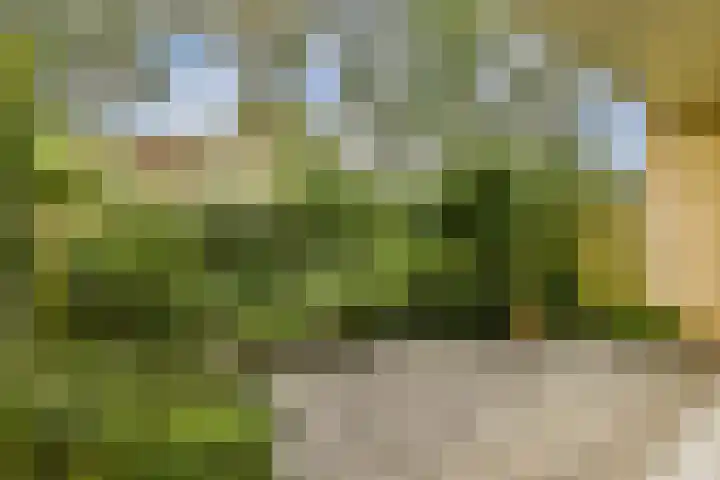 Oostelijk Halfrond 110 Amstelveen thumbnail 7
