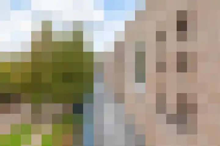 Oostelijk Halfrond 145 Amstelveen thumbnail 17