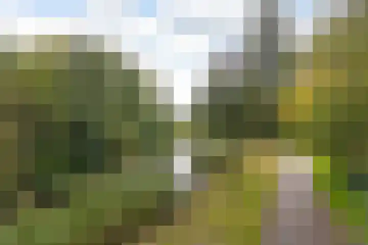 Oostelijk Halfrond 145 Amstelveen thumbnail 20