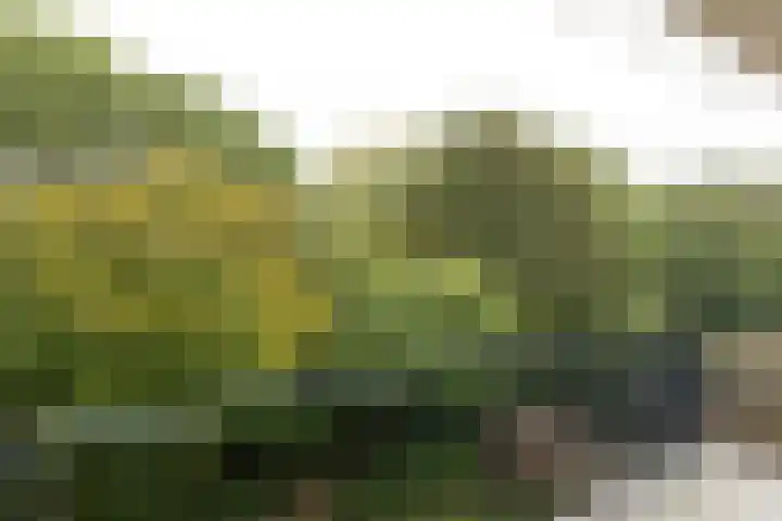 Oostelijk Halfrond 145 Amstelveen thumbnail 7