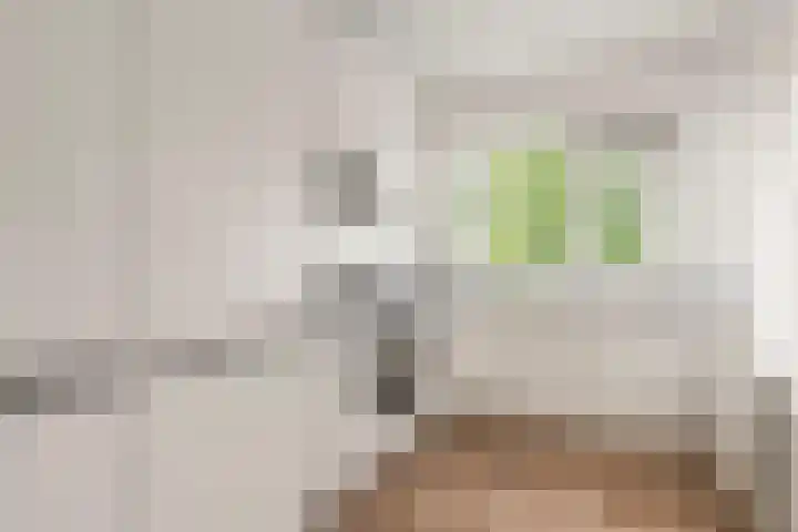 Oostelijk Halfrond 151 Amstelveen thumbnail 13
