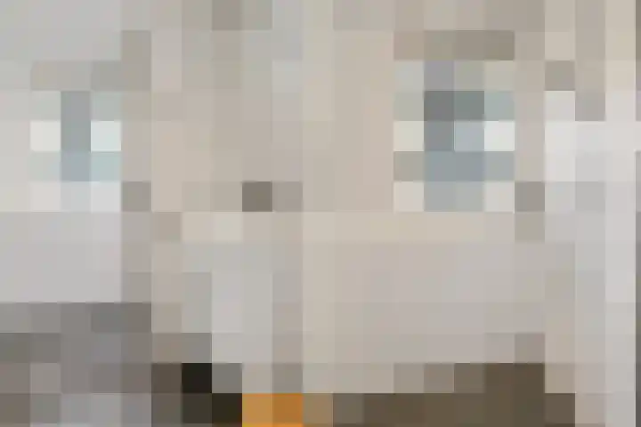 Oostelijk Halfrond 151 Amstelveen thumbnail 21