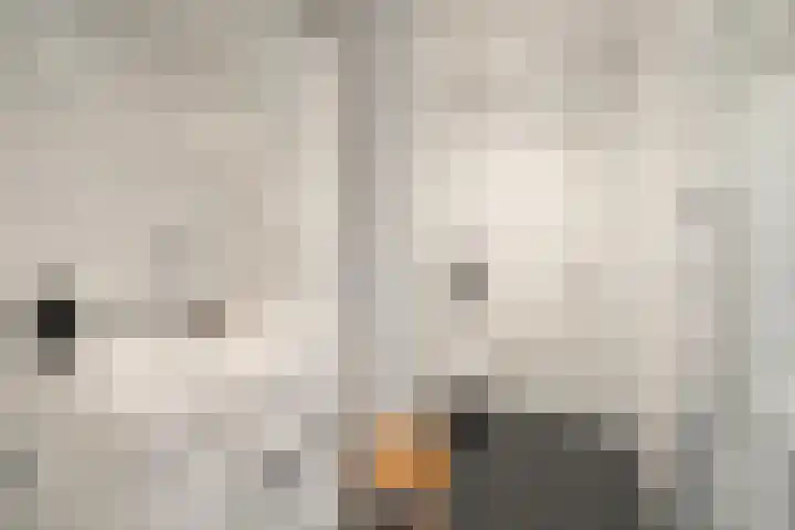 Oostelijk Halfrond 151 Amstelveen thumbnail 22