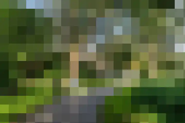 Oostelijk Halfrond 151 Amstelveen thumbnail 27