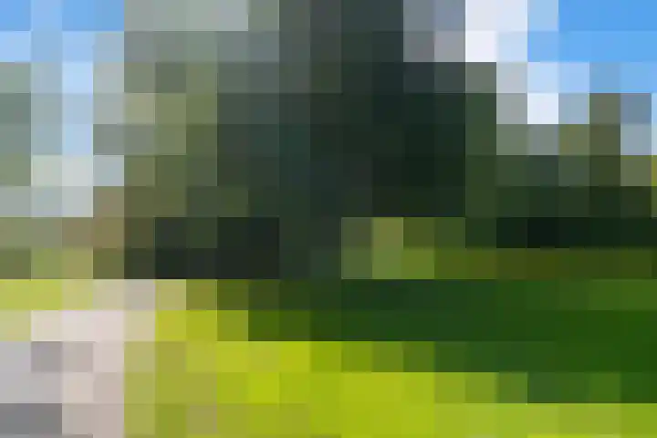 Oostelijk Halfrond 151 Amstelveen thumbnail 28