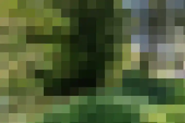 Oostelijk Halfrond 151 Amstelveen thumbnail 29