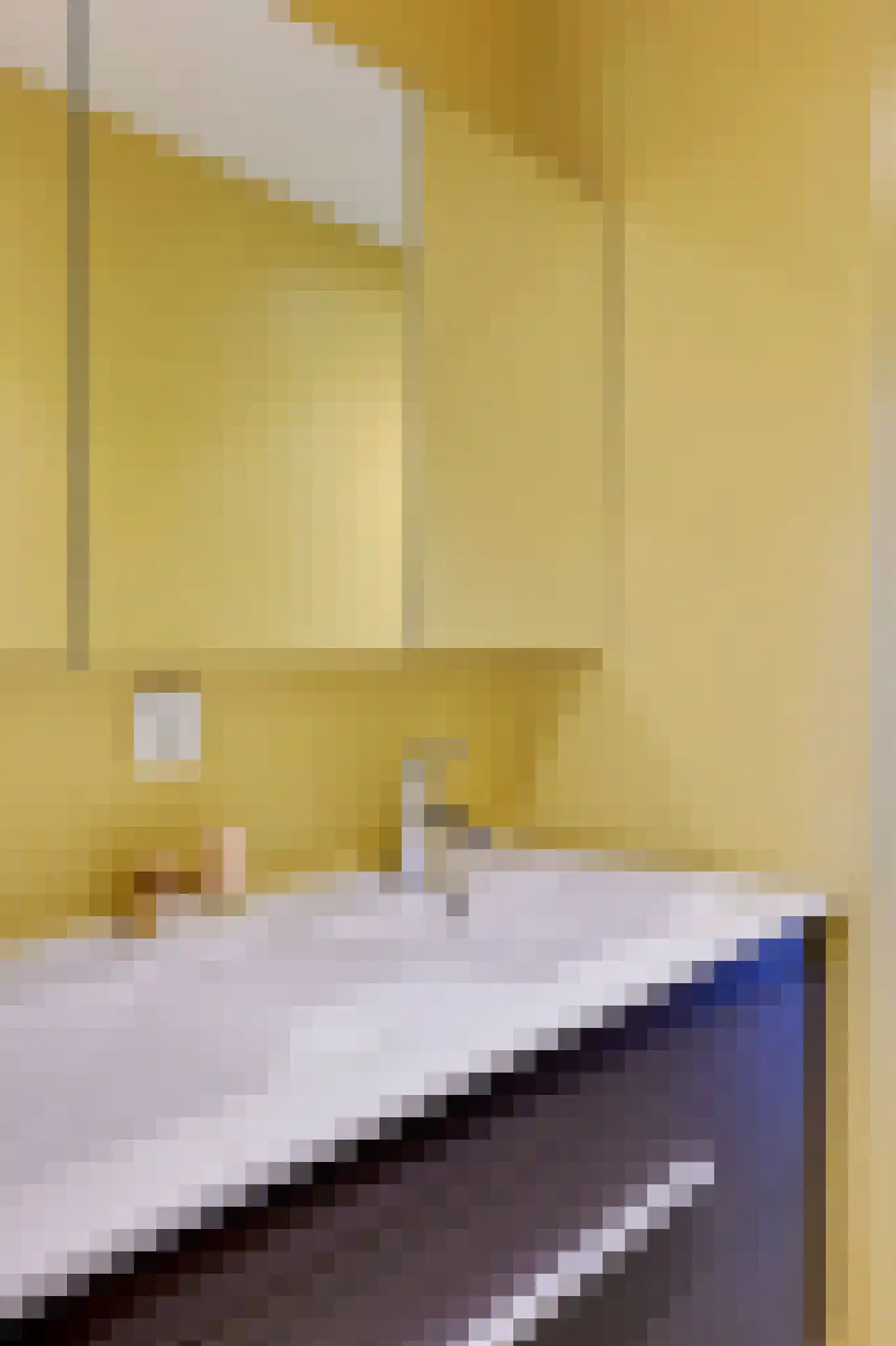 Oostelijk Halfrond 205 Amstelveen thumbnail 32