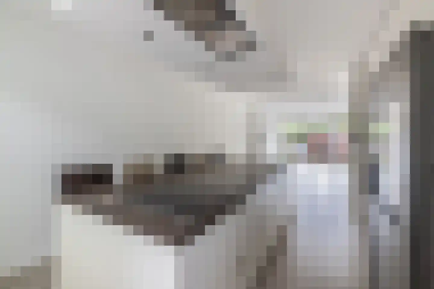 Oostelijk Halfrond 32 A Amstelveen thumbnail 5