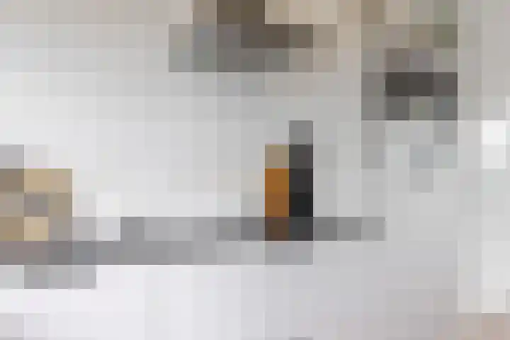 Oostelijk Halfrond 83 Amstelveen thumbnail 10