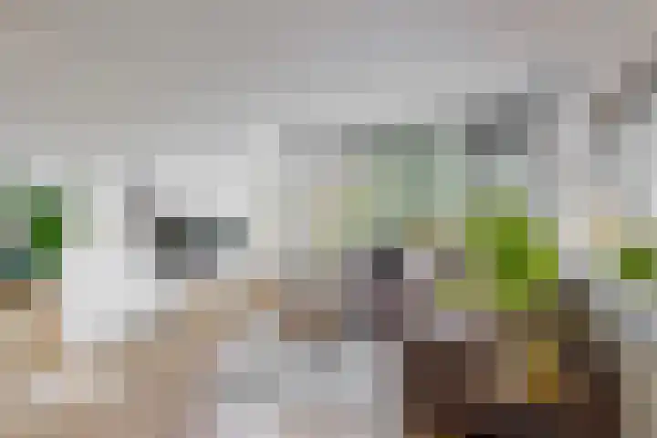 Oostelijk Halfrond 83 Amstelveen thumbnail 4