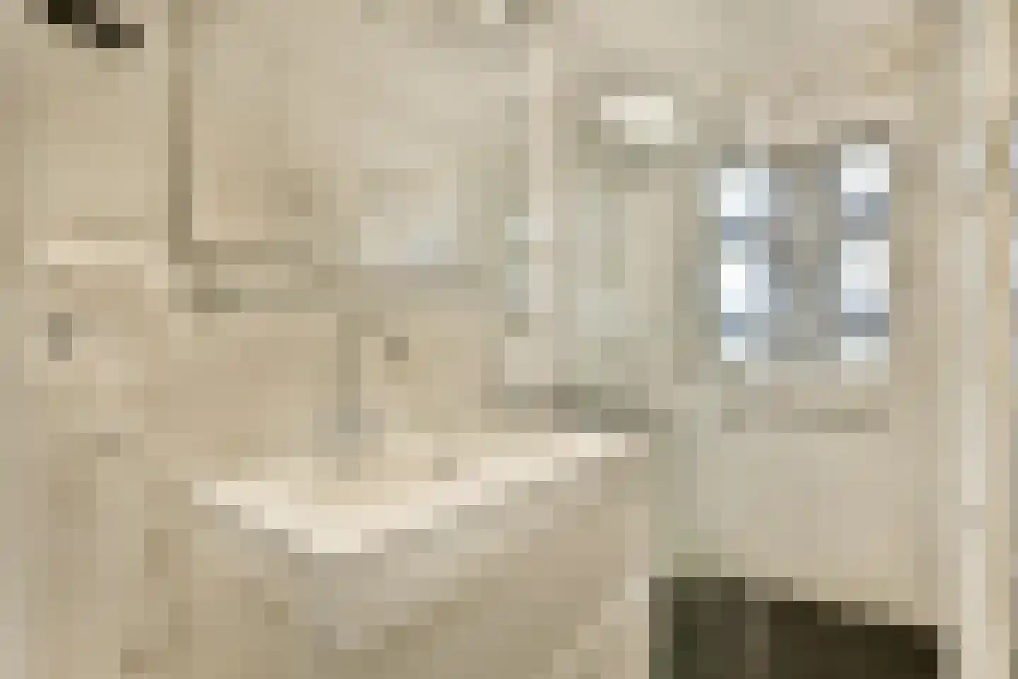 Oostelijk Halfrond 85 Amstelveen thumbnail 12