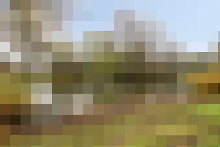 Oostelijk Halfrond 99 Amstelveen thumbnail 17