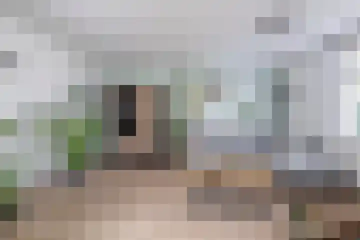 Oostelijke Achterweg 30 Sommelsdijk thumbnail 10
