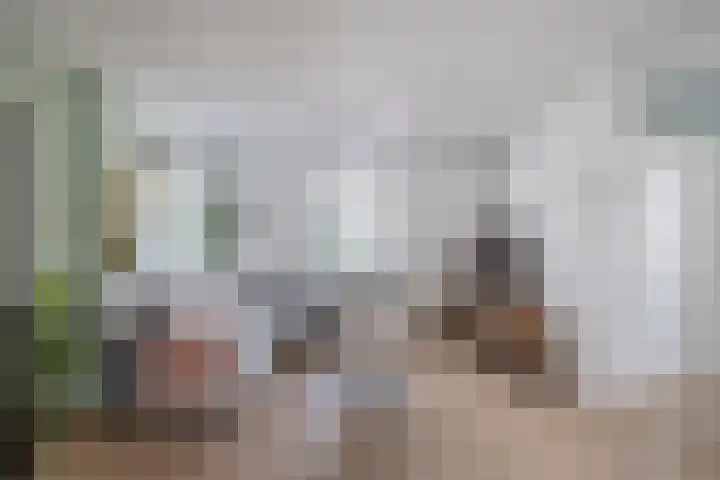 Oostelijke Achterweg 30 Sommelsdijk thumbnail 11