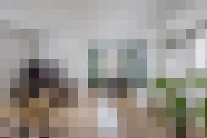 Oostelijke Achterweg 30 Sommelsdijk thumbnail 12