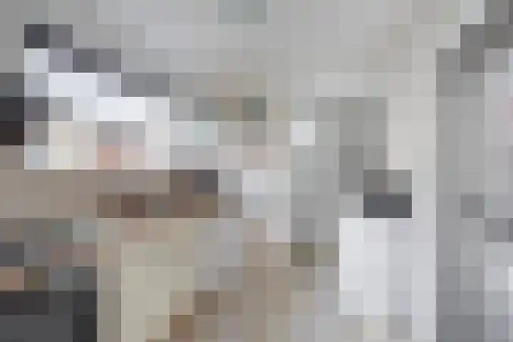 Oostelijke Achterweg 30 Sommelsdijk thumbnail 15