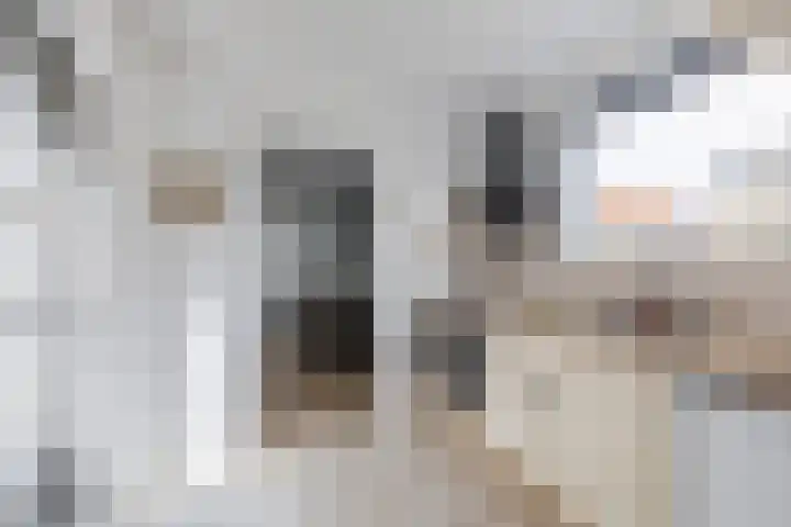 Oostelijke Achterweg 30 Sommelsdijk thumbnail 17