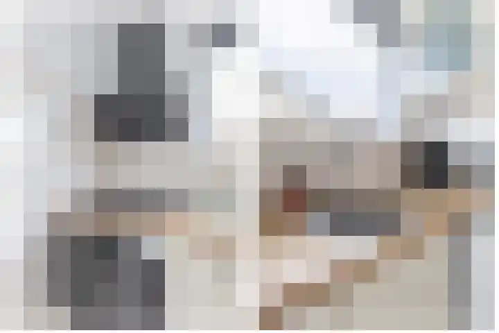 Oostelijke Achterweg 30 Sommelsdijk thumbnail 18