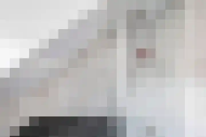 Oostelijke Achterweg 30 Sommelsdijk thumbnail 23
