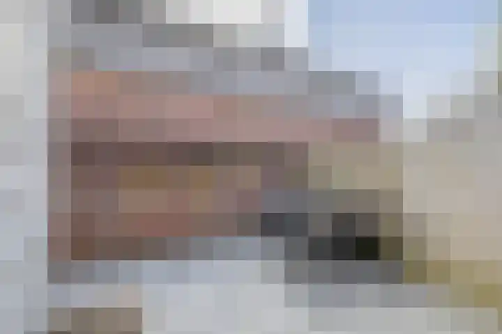 Oostelijke Achterweg 30 Sommelsdijk thumbnail 28