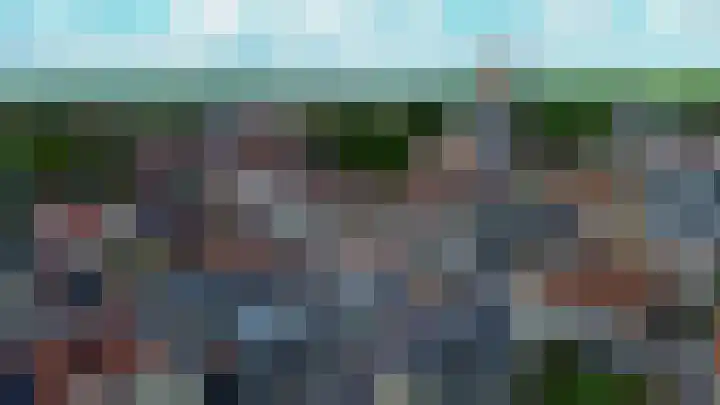 Oostelijke Achterweg 30 Sommelsdijk thumbnail 29