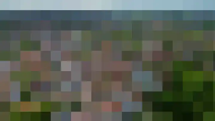 Oostelijke Achterweg 30 Sommelsdijk thumbnail 31
