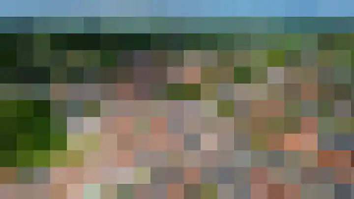 Oostelijke Achterweg 30 Sommelsdijk thumbnail 32
