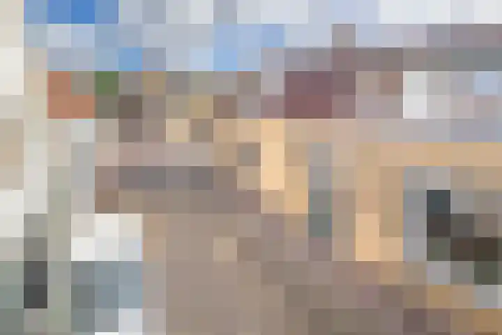Oostelijke Achterweg 30 Sommelsdijk thumbnail 5