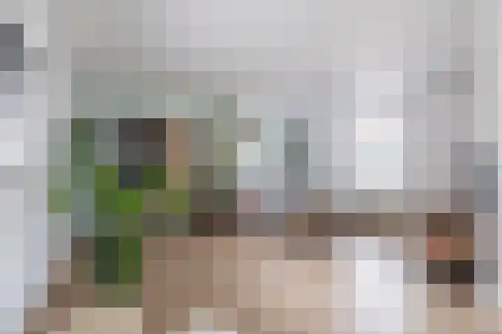 Oostelijke Achterweg 30 Sommelsdijk thumbnail 9