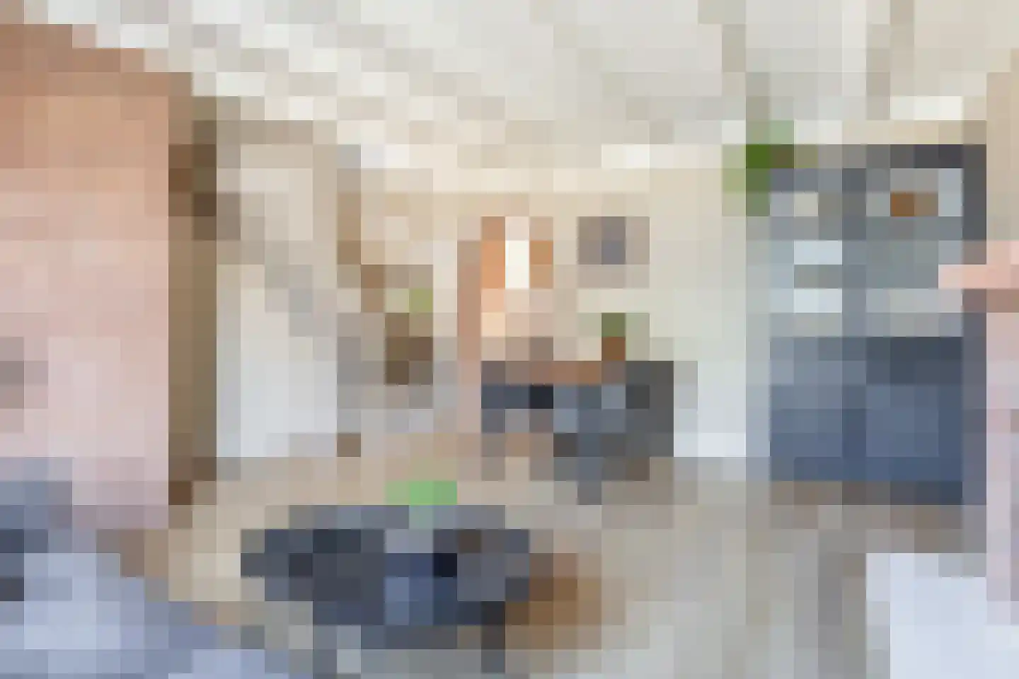 Oostelijke Achterweg 40 Sommelsdijk thumbnail 13