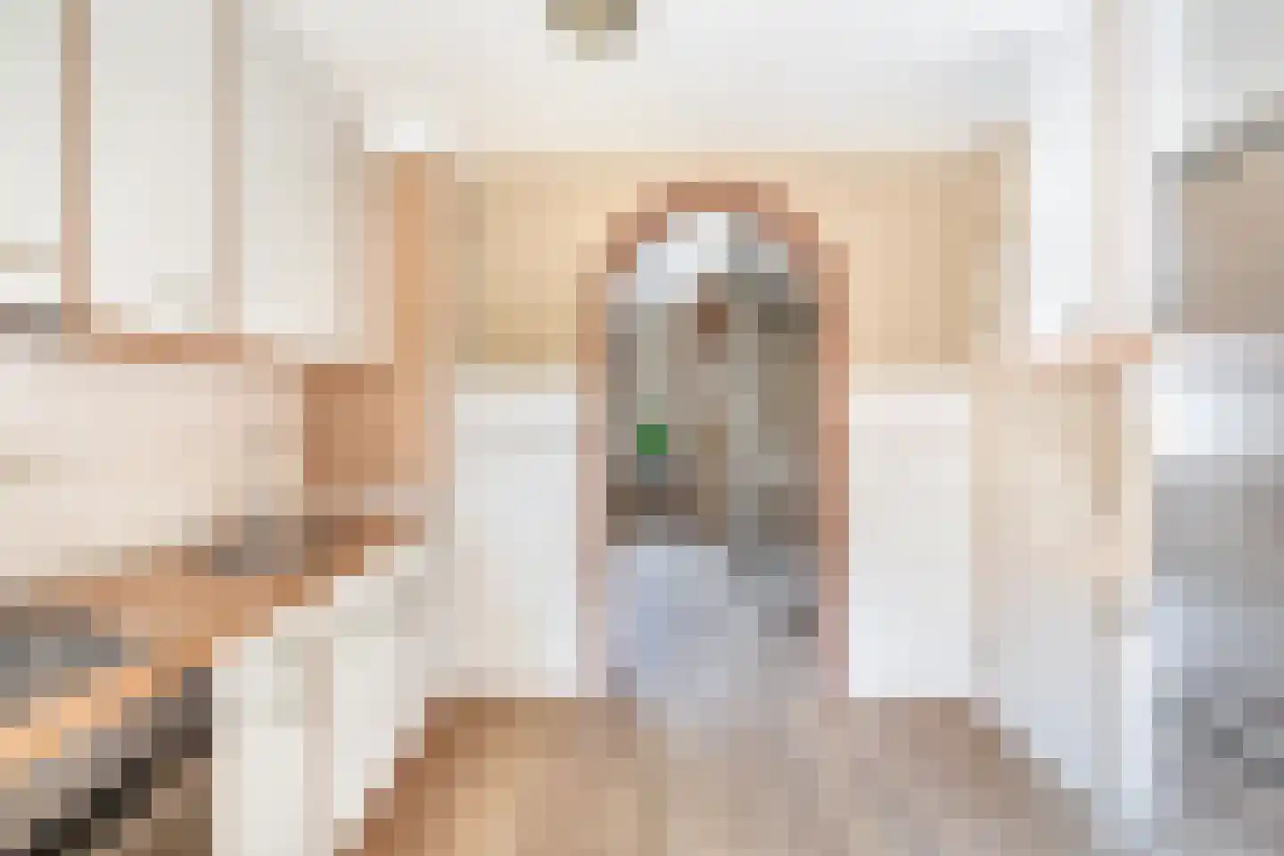 Oostelijke Achterweg 40 Sommelsdijk thumbnail 18
